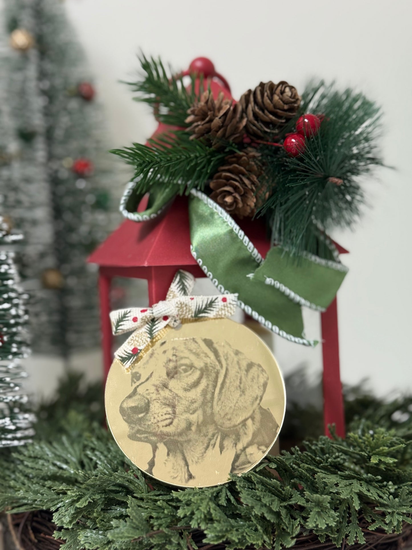 Custom acrylic ornament