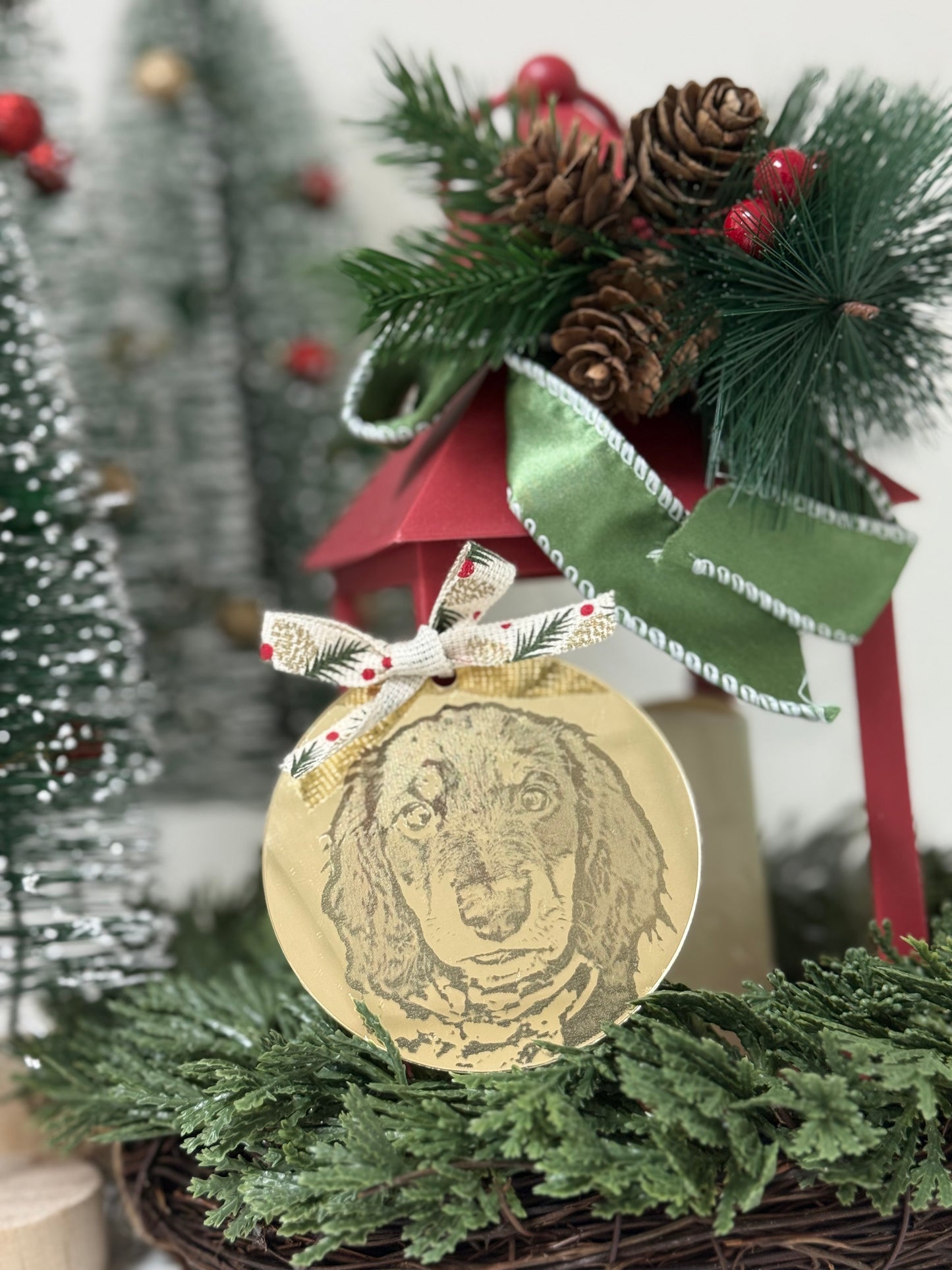 Custom acrylic ornament