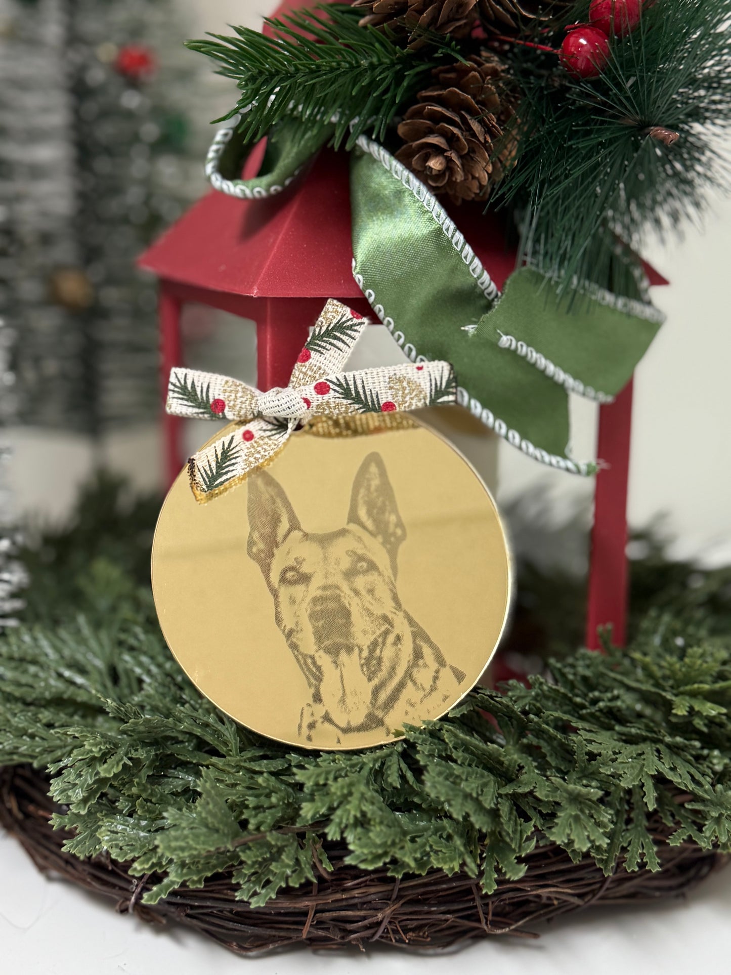 Custom acrylic ornament