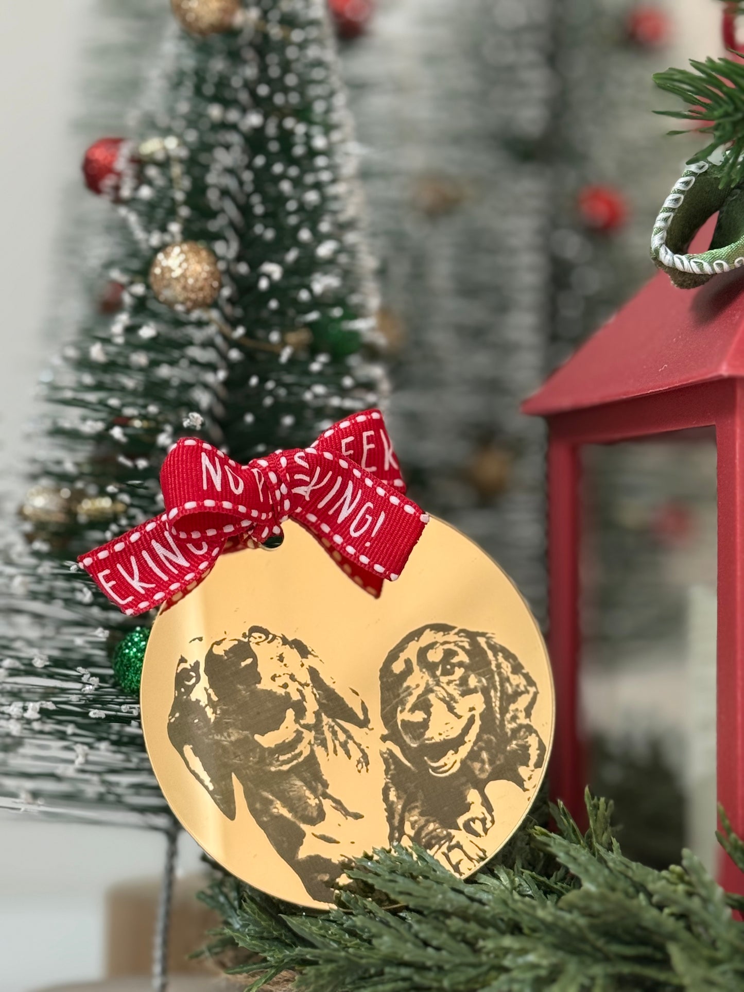 Custom acrylic ornament