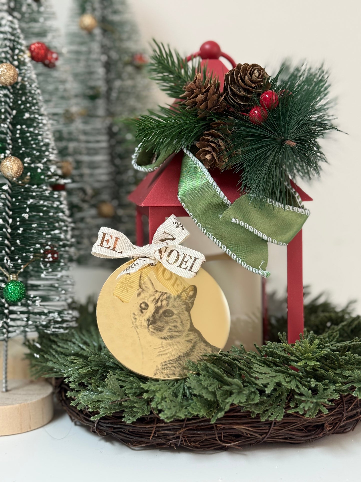 Custom acrylic ornament