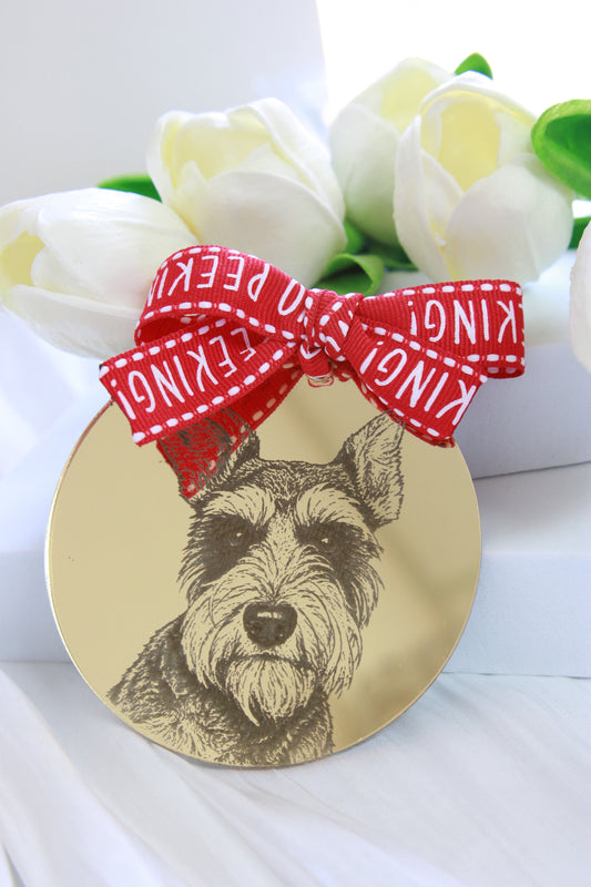 Custom acrylic ornament